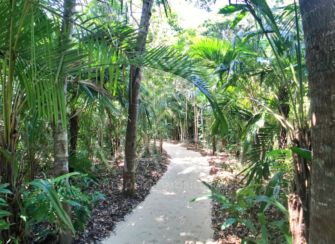 casa maion em trancoso